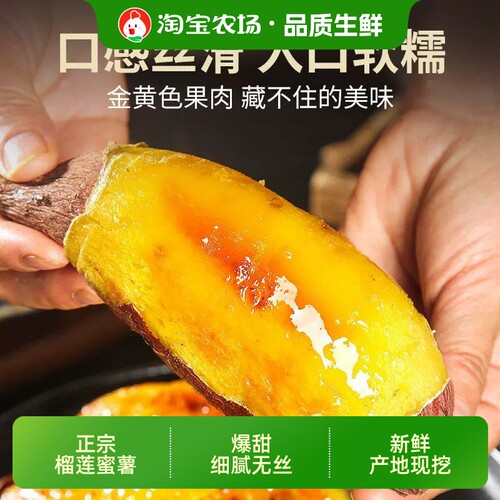 挖榴莲蜜薯软糯红薯烤地瓜沙地小红薯新鲜糖心香薯甜蜜优选农场