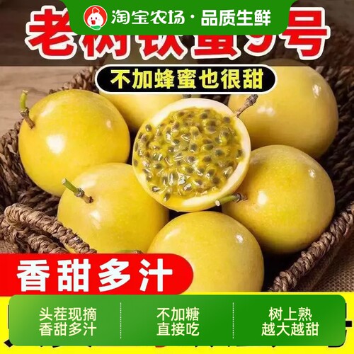 百香果黄金钦蜜9号新鲜采摘