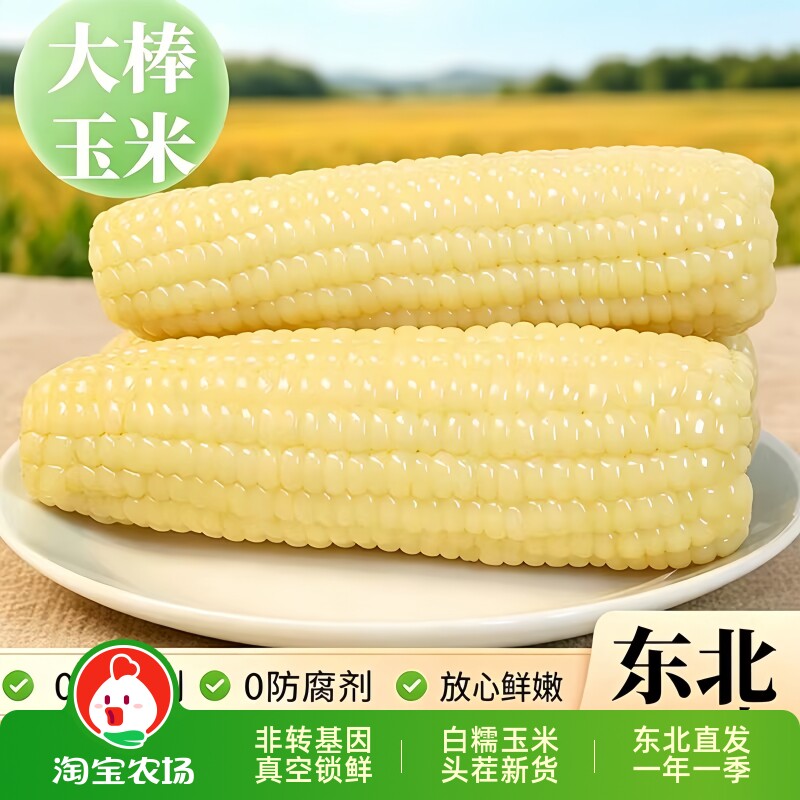 东北新鲜白糯玉米加热即食粘苞米粒甜糯玉米白玉米粗粮香甜真空装