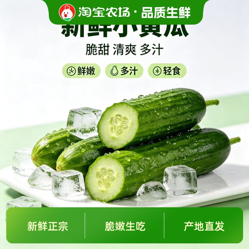 寿光水果黄瓜无刺新鲜现摘脆嫩生吃青瓜正宗即食农场小黄瓜轻食