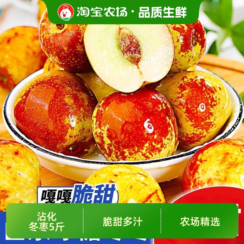 时令沾化冬枣5斤装新鲜应季枣子脆枣大枣当季水果礼盒装冰糖脆甜