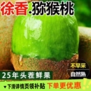现摘 包邮 陕西正宗徐香猕猴桃当季 新鲜水果绿心奇异果孕妇大果