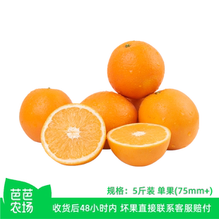 【芭芭农场】赣南脐橙5斤果径75mm+