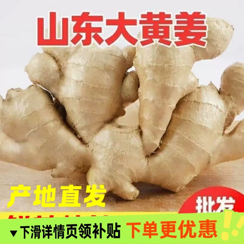 正宗山东生姜大姜大黄姜风干姜新鲜农家种植黄姜大块老姜批发