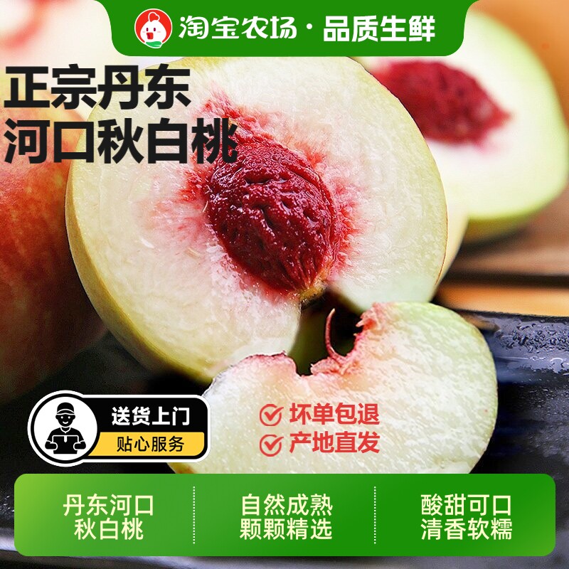 正宗丹东河口秋白桃皆宜酸甜可口秋小毛桃桃味浓脆甜直发农场大果