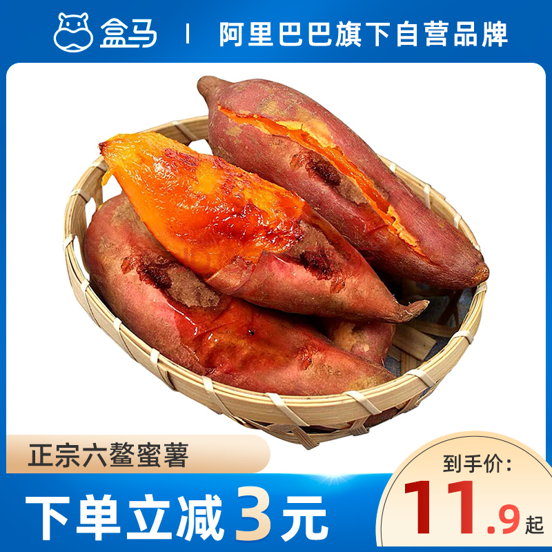 【新薯上市】盒马福建六鳌蜜薯3斤/5斤新鲜糖心红薯烤地瓜小香薯