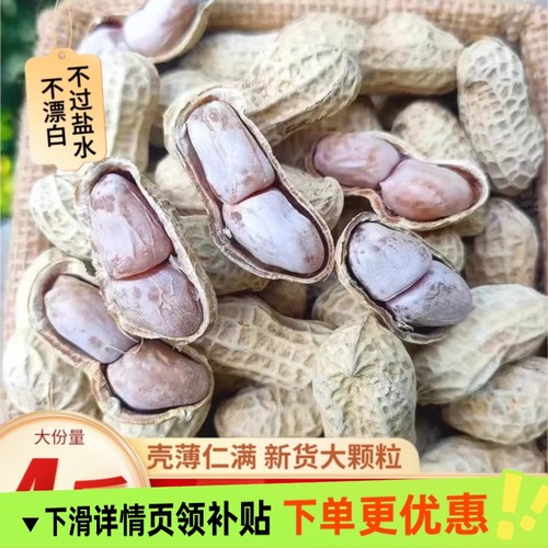 龙岩花生蒜香五香咸干盐水煮白晒干花生米炒货坚果零食品熟批发