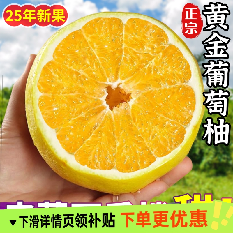 【爆汁柚子】福建黄金葡萄柚新鲜水果当季现摘黄心蜜柚甜文旦西柚