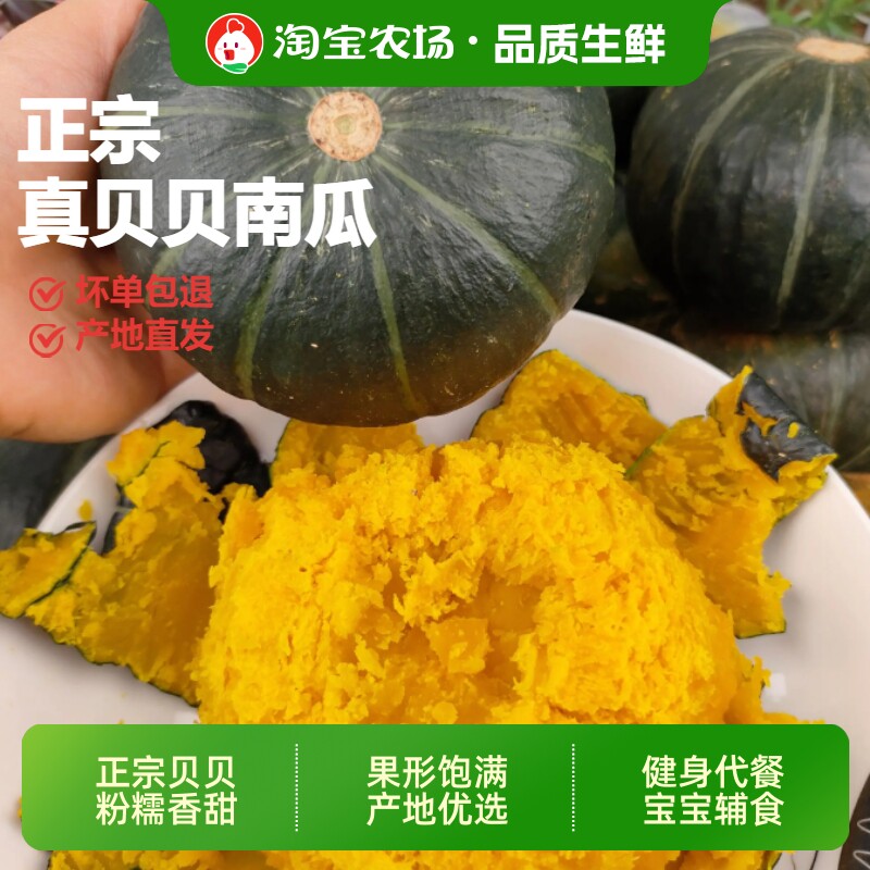 正宗贝贝小南瓜板栗味黄金粗粮宝宝辅食当季新鲜现摘蔬菜美食农场