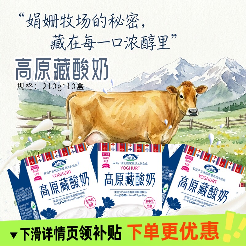 青海湖高原藏酸奶210g*10盒牧场常温牛奶风味发酵乳整箱保存原味