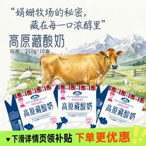 青海湖！高原牧场藏酸奶210g*10盒