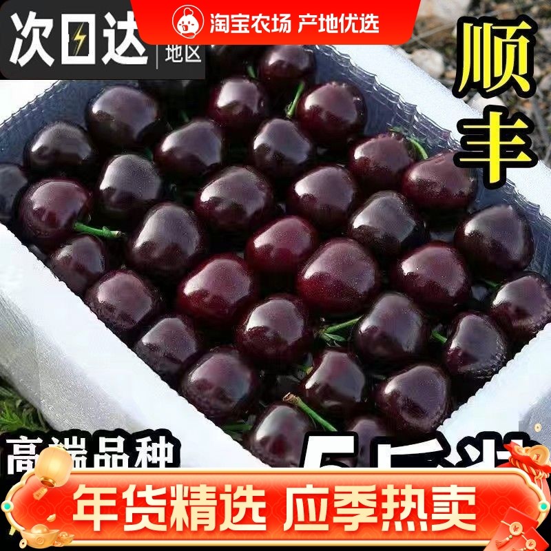 智利进口桑提娜车厘子新鲜水果樱桃应季新鲜孕妇可食5斤礼盒包邮,水产肉类/新鲜蔬果/熟食,车厘子/樱桃,淘宝优惠券,粉丝福利购,淘宝优惠卷