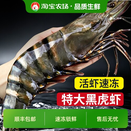 黑虎虾新鲜大虾老虎虾虾类海鲜鲜活冷冻竹节虾九节虾斑节虾水产