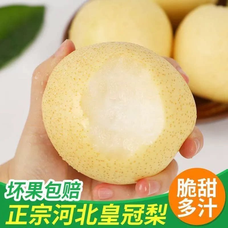 河北白皇冠梨梨子新鲜5斤整箱包邮当季水果现摘脆甜多汁化渣解腻图片