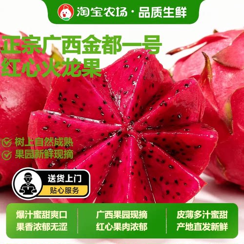 基地直供红心火龙果新鲜采摘