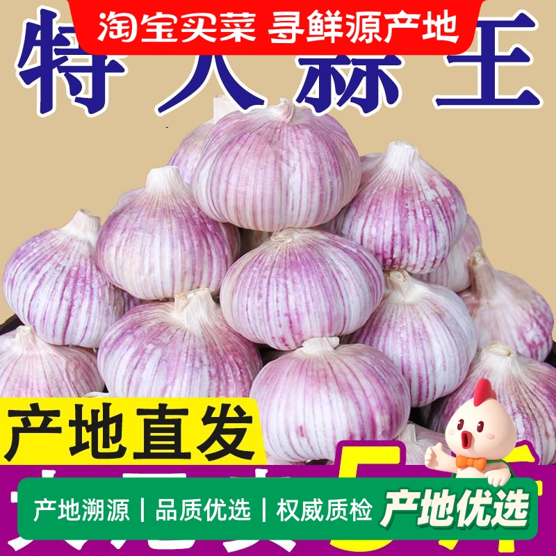 首单直降新鲜干蒜紫皮大蒜头当季蔬菜特大果蒜籽蒜瓣批发包邮