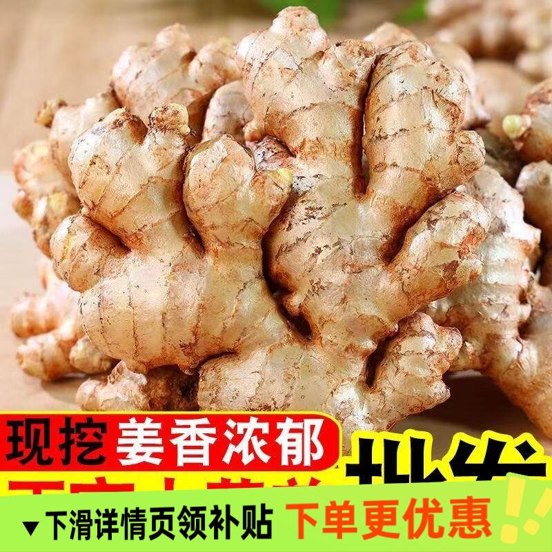 云南正宗小黄姜2025老姜新鲜生姜高山沙姜老姜土姜蔬菜农家自种图片