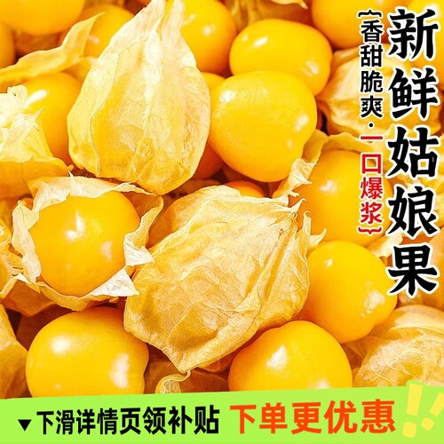 云南姑娘果大果5新鲜当季水果整箱特产灯笼果小金豆甜菇娘果