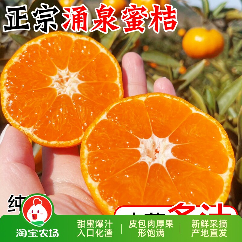 正宗临海涌泉蜜桔10黄岩蜜橘当季新鲜现摘孕妇水果整箱无核橘子