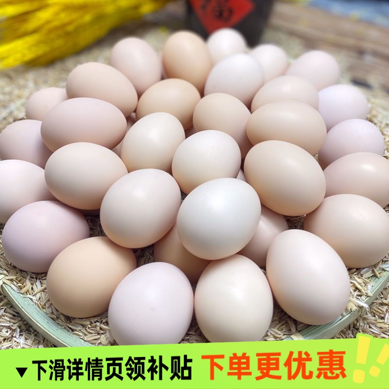皖北正宗农养散养土鸡蛋30枚/50枚/100枚装