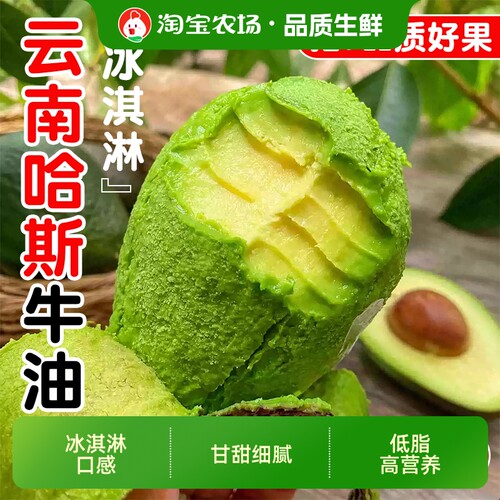 云南哈斯牛油果当季新鲜水果孕妇宝宝辅食鳄梨非进口墨西哥农场