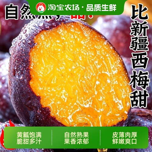 新鲜大西梅应季水果西梅当季孕妇可食用大果肉厚肉厚核小农场保存
