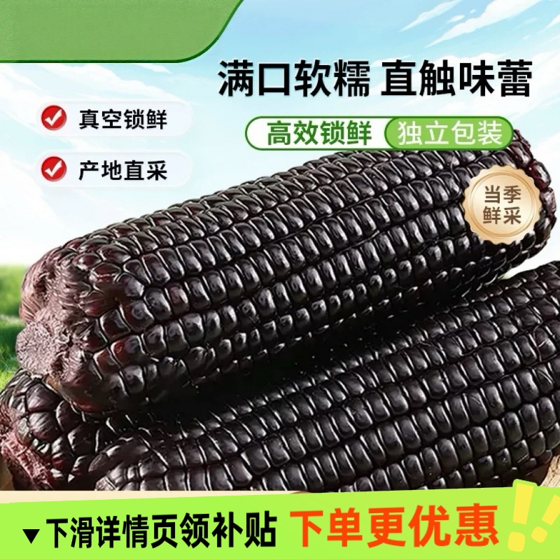 头茬大棒10支新黑糯玉米新鲜现摘真空装包甜糯黏黑玉米代餐东北