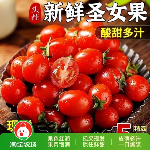 正宗小番茄圣女果小西红柿新鲜樱桃生吃应季水果独立装樱桃小番茄