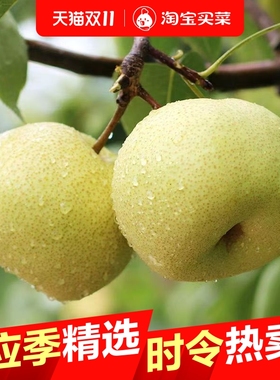 砀山正宗酥梨安徽百年梨树梨子新鲜应季脆甜多汁整箱直发