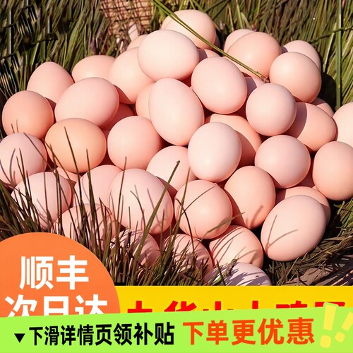 九华山鸡蛋顺丰包邮66枚正宗农家笨鸡蛋柴鸡蛋新鲜配送次日保存 - 封面