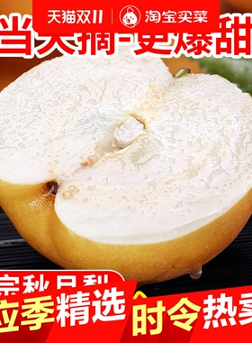 正宗莱阳秋月梨新鲜梨子脆甜当季现摘冰糖梨雪梨蜜梨水果批发整箱