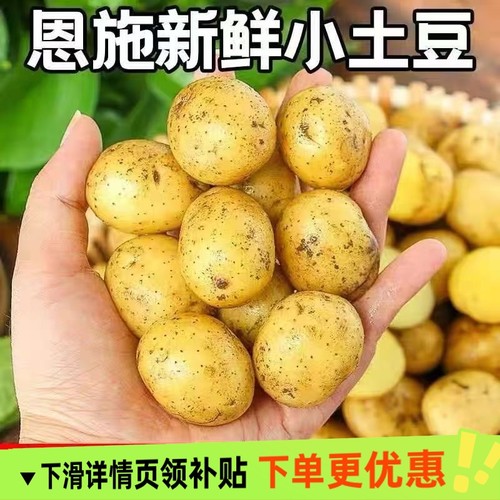 2025新土豆正宗现挖黄皮土豆新鲜马铃薯洋芋当季整箱农家