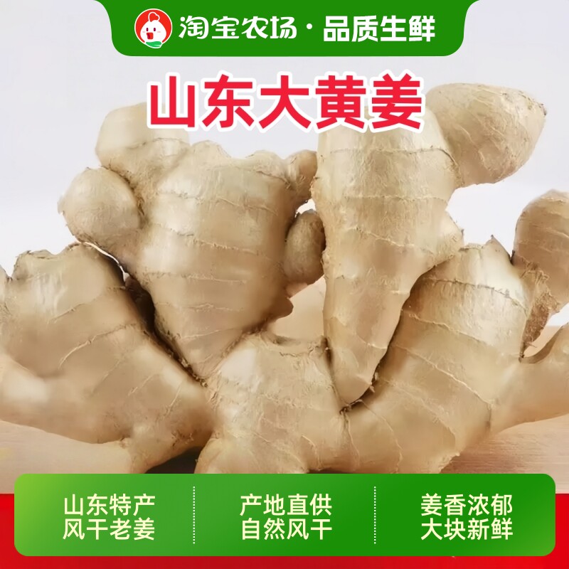 山东大姜老黄姜新鲜大块图片