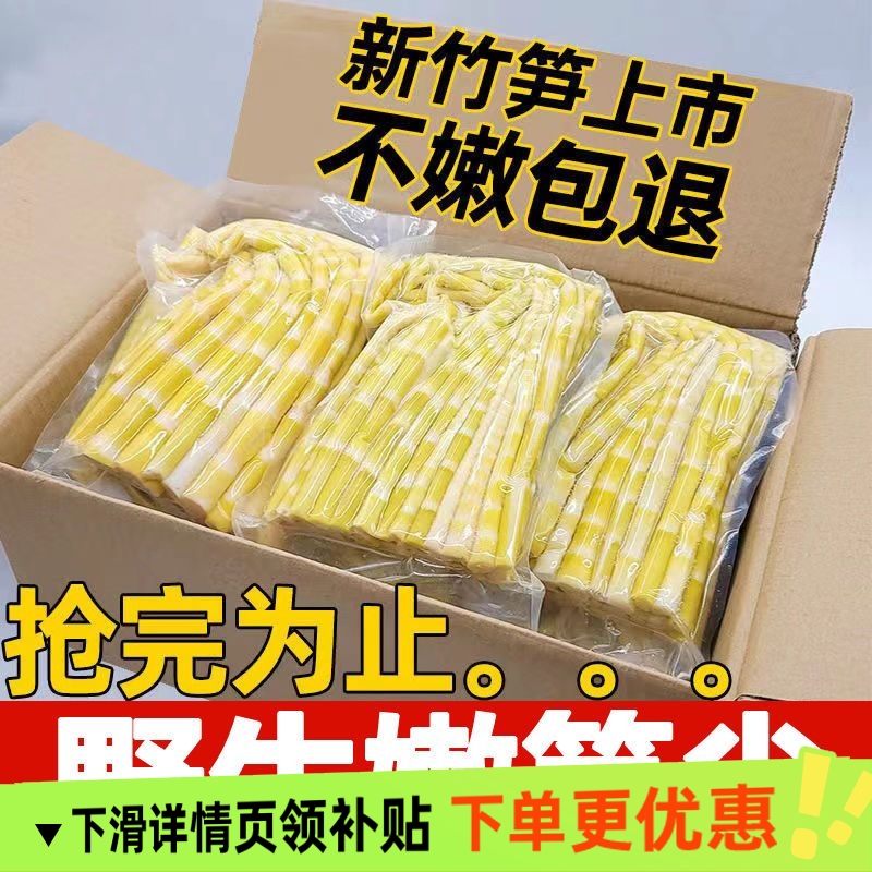 2025野生小竹笋嫩笋尖清水笋小春笋火锅笋鲜笋高山嫩竹笋商用批发
