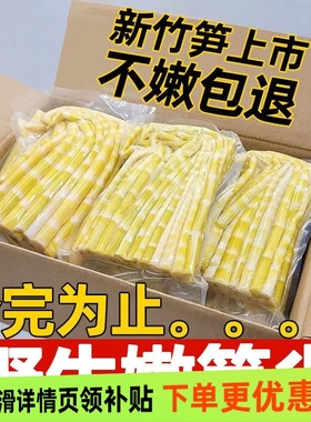 2025野生小竹笋嫩笋尖清水笋小春笋火锅笋鲜笋高山嫩竹笋商用批发