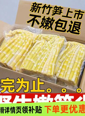 2025野生小竹笋嫩笋尖清水笋小春笋鲜笋高山嫩竹笋商用新鲜火锅