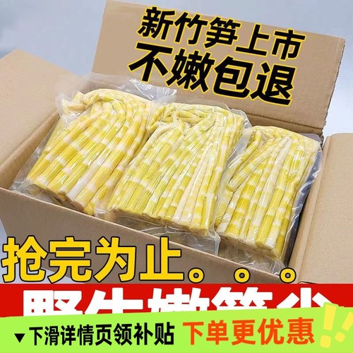 2025野生小竹笋嫩笋尖清水笋小春笋火锅笋鲜笋高山嫩竹笋商用新鲜