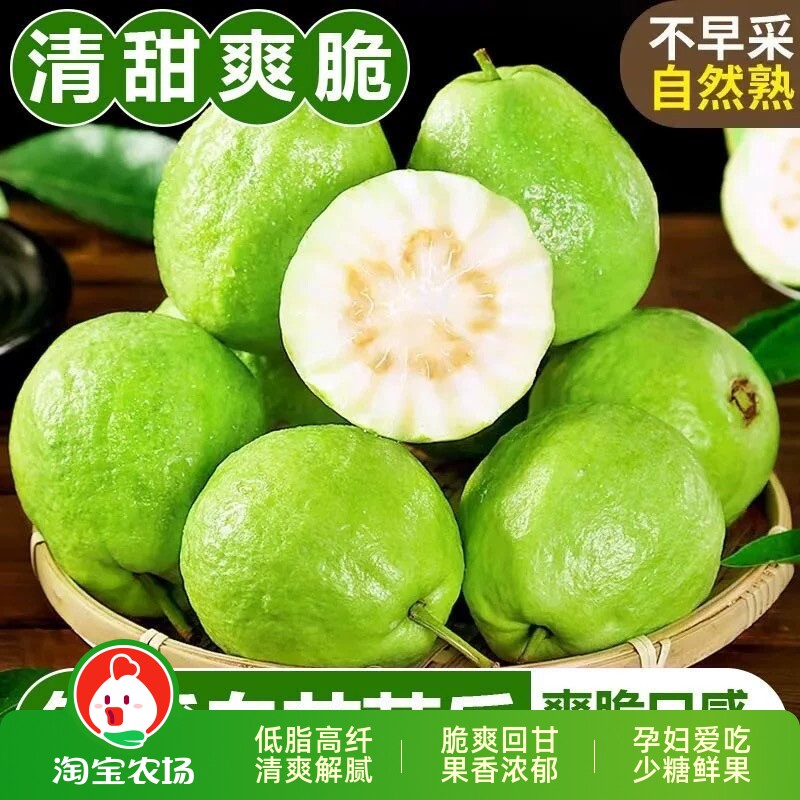 新鲜芭乐水果包邮白心硬番石榴软心当季整箱5斤应季时令鲜果生鲜