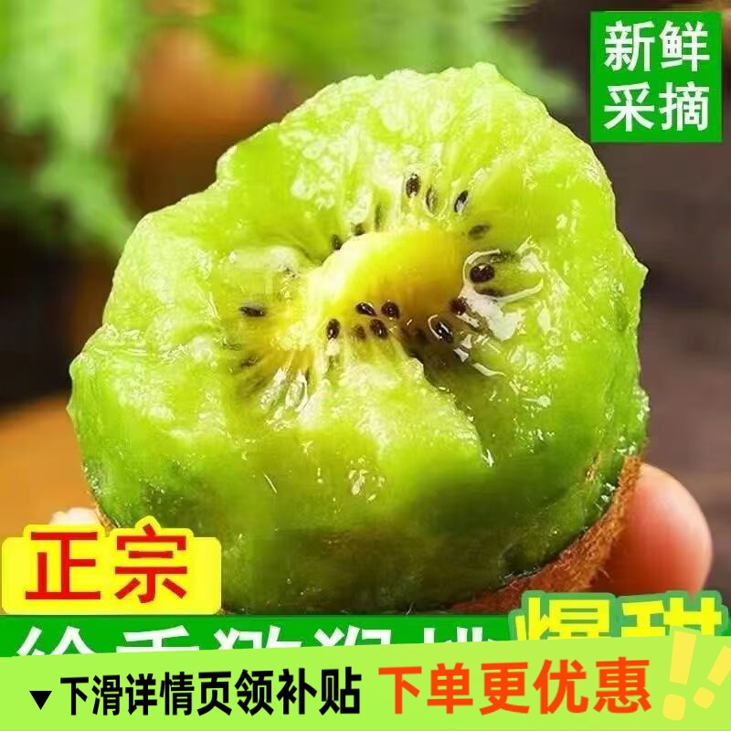 陕西正宗徐香绿心当季猕猴桃
