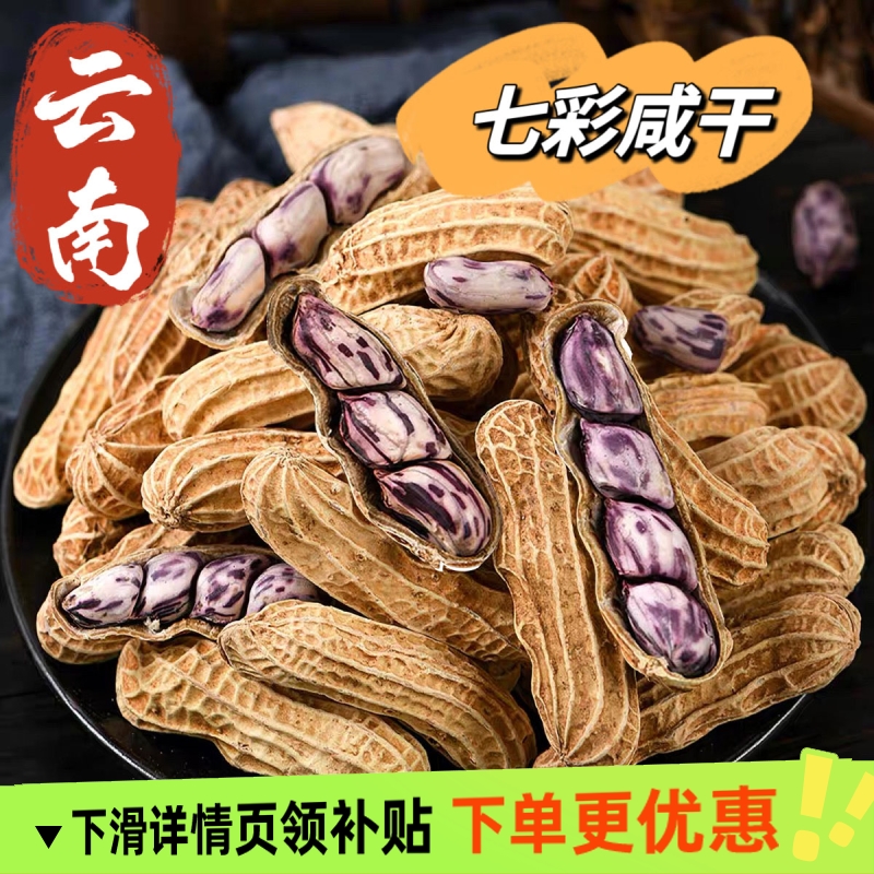 2025新货正宗云南七彩花生熟咸干水煮香甜带壳牛奶花生野餐露营