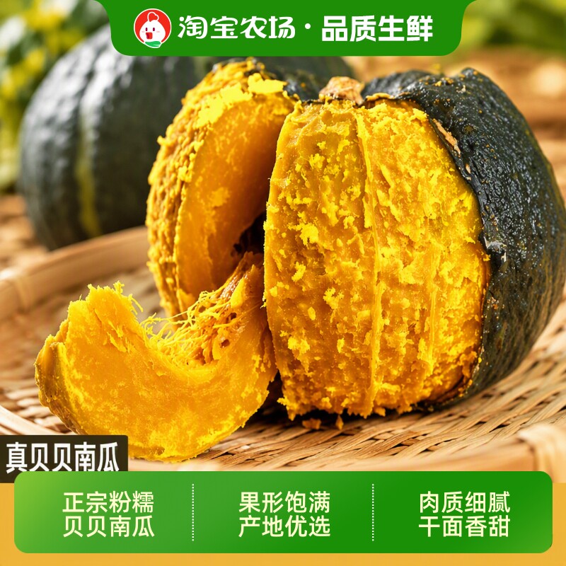 正宗贝贝南瓜板栗味宝宝辅食绵密细腻新鲜农场美食营养粗粮优选