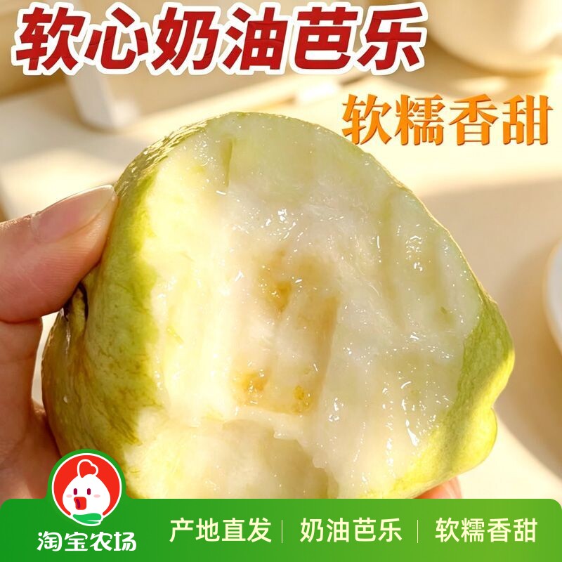 广东奶油芭乐冰淇淋白心番石榴鸡屎软心新鲜应季孕妇水果现摘正宗