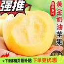 山东烟台黄金奶油富士苹果新鲜水果现货3斤 8.5斤多规格 4.5斤