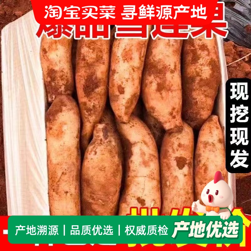 云南天山雪莲果红泥黄心新鲜应季水果特产净重现挖包邮