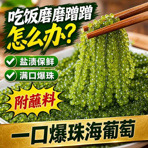 小孩吃的爱尚港盐儿童盐渍水葡萄即食健康零食海葡萄新鲜食用