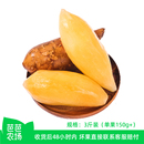 雪莲果3斤单果150g 芭芭农场兑换