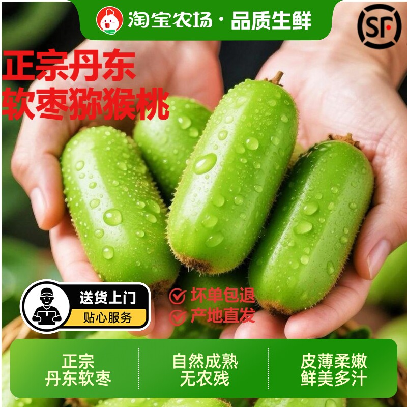 顺丰包邮丹东软枣猕猴桃无毛奇异莓圆枣子新鲜孕妇水果奇异果礼盒