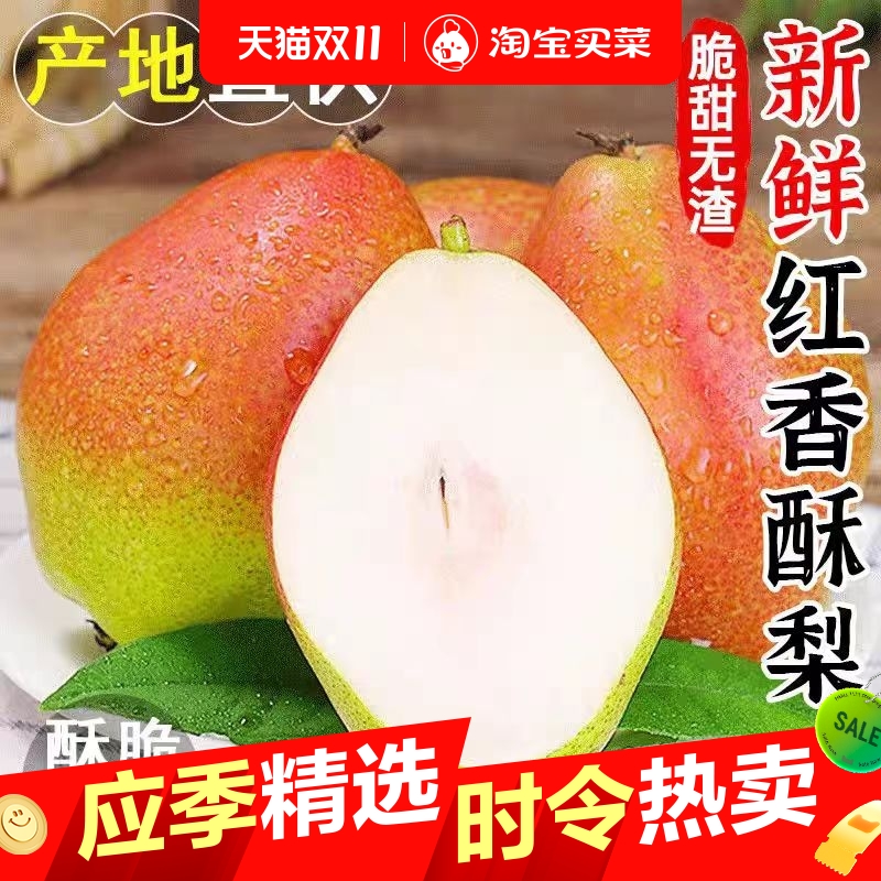 正宗头茬红香酥梨新鲜当季现摘香梨青梨子脆甜特产新鲜水果整箱