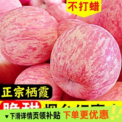 山东烟台红富士苹果脆新鲜水果冰糖心栖霞条纹苹果一整箱批发