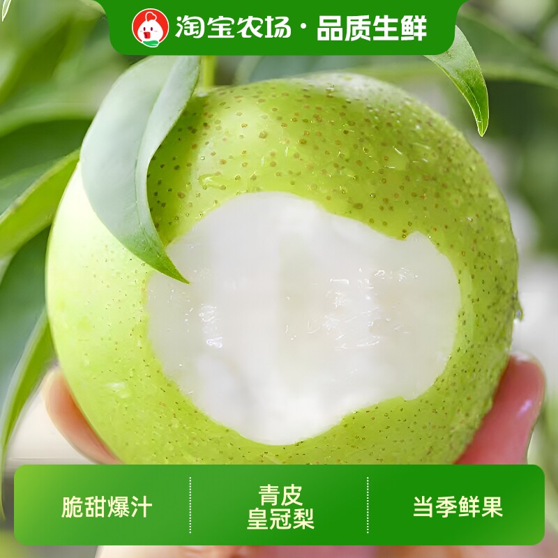 现货青皮梨子苹果梨当季新鲜水果脆甜爆汁鲜果农场直发正宗多汁